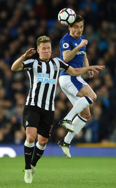 垠的田野 垠的田野